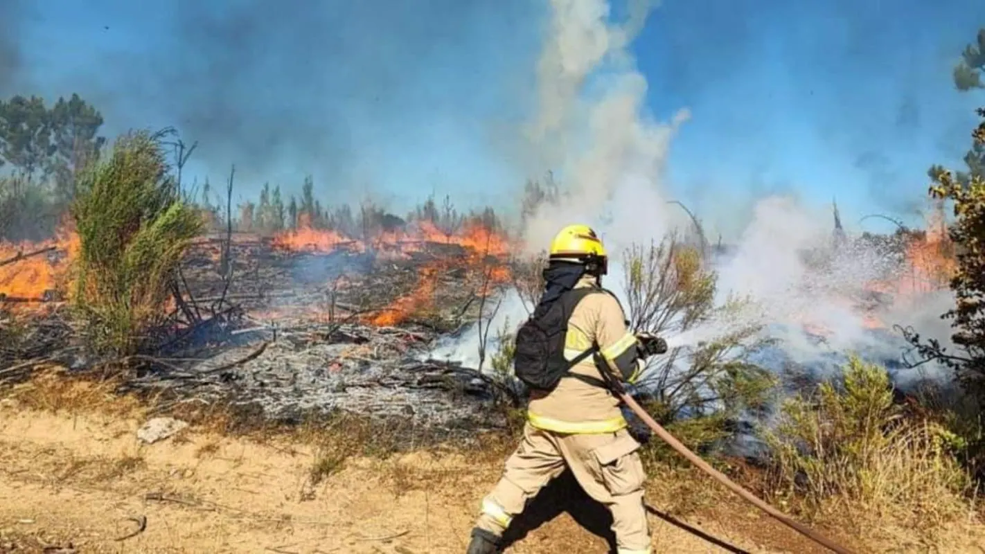 Bombero combatiendo un incendio de pastizales